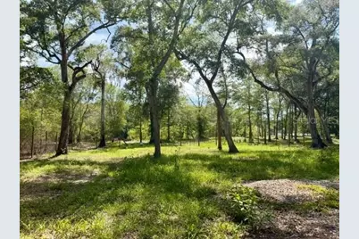 1109 NW 78th Avenue, Bell, FL 32619 - Photo 10