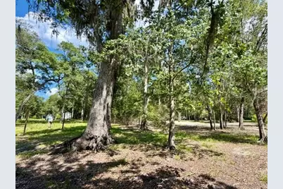 1109 NW 78th Avenue, Bell, FL 32619 - Photo 14