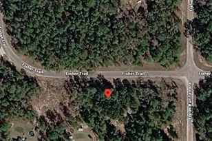 Fisher Trail, Ocklawaha, FL 32179 - Photo 1