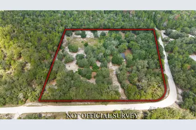 119 NE 98th Lane, Branford, FL 32008 - Photo 24
