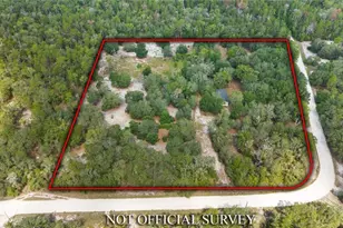 119 NE 98th Ln, Branford, FL 32008 - Photo 24