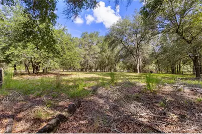 119 NE 98th Lane, Branford, FL 32008 - Photo 46