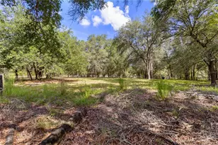 119 NE 98th Ln, Branford, FL 32008 - Photo 46