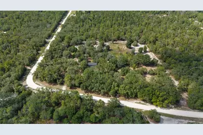 119 NE 98th Lane, Branford, FL 32008 - Photo 40