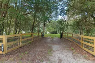 119 NE 98th Ln, Branford, FL 32008 - Photo 4