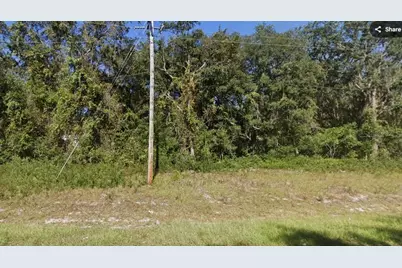 Cordell Avenue, Interlachen, FL 32148 - Photo 4