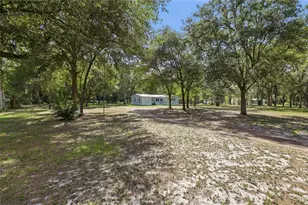 2876 SE County Rd 245, Lake City, FL 32025 - Photo 8