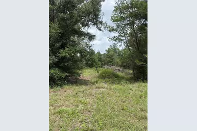 4951 NE 142nd Court, Williston, FL 32696 - Photo 2