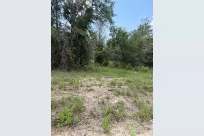 4951 NE 142nd Court, Williston, FL 32696 - Photo 6