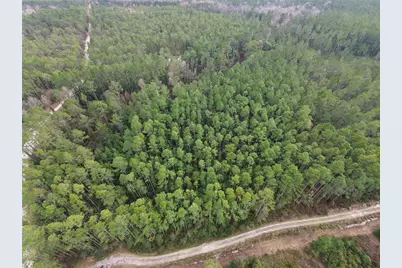 Ne NE 130 Ct Rd, Fort Mc Coy, FL 32134 - Photo 4