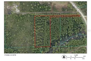 NE NE 130 Ct Rd, Fort Mc Coy, FL 32134 - Photo 1