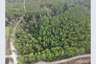 Ne NE 130 Ct Rd, Fort Mc Coy, FL 32134 - Photo 2