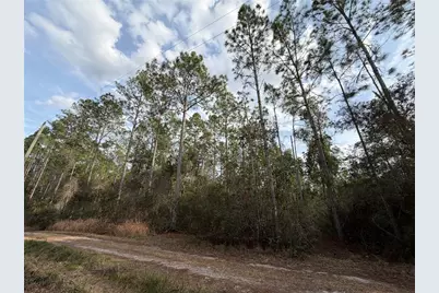 Ne NE 130 Ct Rd, Fort Mc Coy, FL 32134 - Photo 6