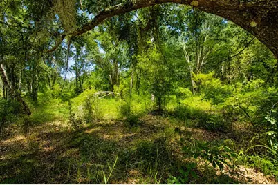 39 NE 526th Street, Old Town, FL 32680 - Photo 24