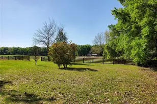 22819 NW 209th Terrace, High Springs, FL 32643 - Photo 18