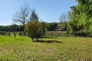 22819 NW 209th Terrace, High Springs, FL 32643 - Photo 24