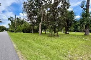 9749 Florida St, Fanning Springs, FL 32693 - Photo 1