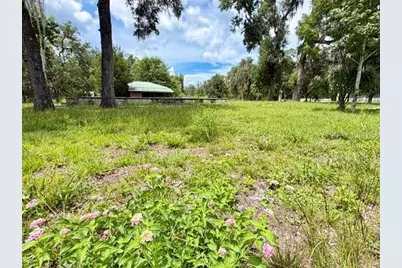 9749 Florida Street, Fanning Springs, FL 32693 - Photo 2