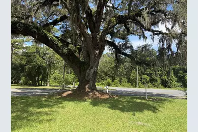 298 N Court Street, Bronson, FL 32621 - Photo 22