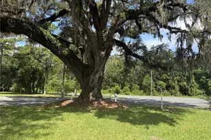 298 N Court St, Bronson, FL 32621 - Photo 22