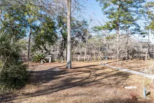 30009 81st Pl, Branford, FL 32008 - Photo 50