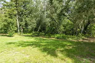 9889 NW 9th Ct, Branford, FL 32008 - Photo 36