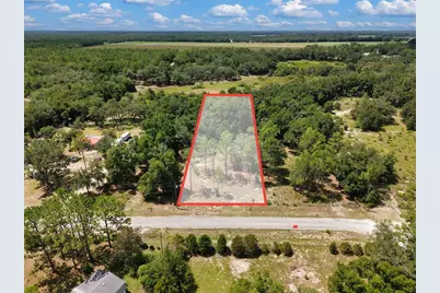 54 NE 841st Avenue, Old Town, FL 32680 - Photo 6