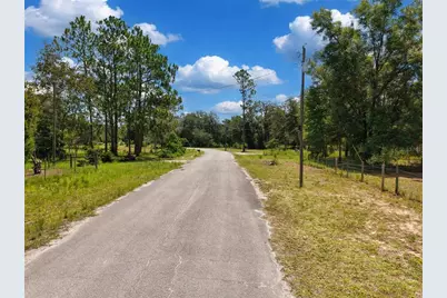 54 NE 841st Avenue, Old Town, FL 32680 - Photo 2