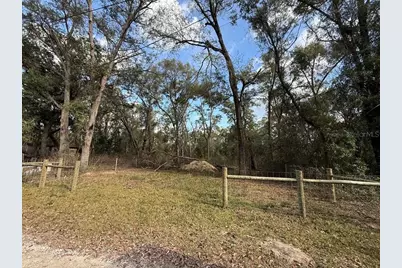 255 SE 917 Street, Cross City, FL 32628 - Photo 2