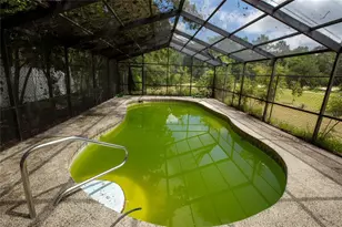 111 2nd St, Melrose, FL 32666 - Photo 42