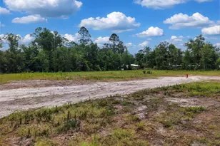 722 Alder Ln, Jasper, FL 32052 - Photo 28