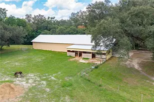 4107 SW State Rd 45, Newberry, FL 32669 - Photo 66