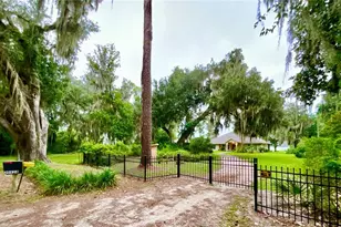 20924 NE 132nd Ave, Waldo, FL 32694 - Photo 6
