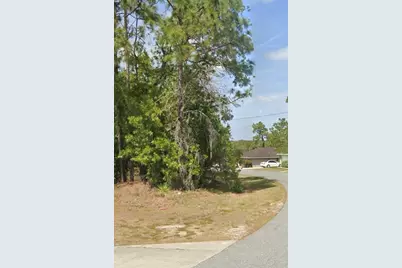 Tbd Pecan Pass Drive, Ocala, FL 34471 - Photo 1