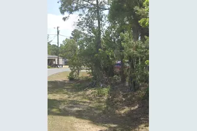 Tbd Pecan Pass Drive, Ocala, FL 34471 - Photo 4