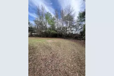 10330 NE 90th Street, Bronson, FL 32621 - Photo 30