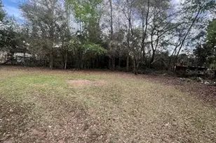 10330 NE 90th St, Bronson, FL 32621 - Photo 30