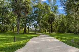8555 NW 210th St, Micanopy, FL 32667 - Photo 2