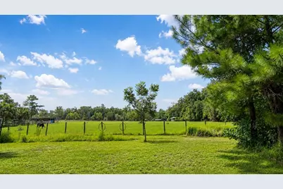 8555 NW 210th Street, Micanopy, FL 32667 - Photo 28