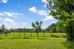 8555 NW 210th St, Micanopy, FL 32667 - Photo 28