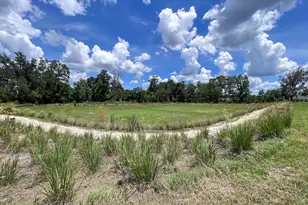 1315 NW 132nd Cir, Newberry, FL 32669 - Photo 38