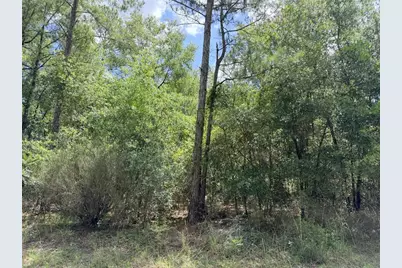 0 NE 77 Place, Bronson, FL 32621 - Photo 4