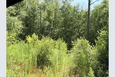 0 NE 77 Place, Bronson, FL 32621 - Photo 2