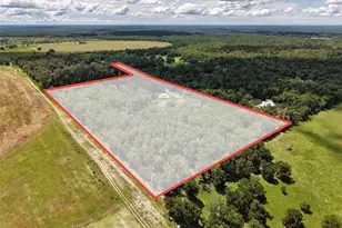 4141 NW 32nd Pl, Chiefland, FL 32626 - Photo 64