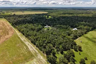 4141 NW 32nd Pl, Chiefland, FL 32626 - Photo 60