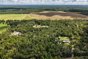 4141 NW 32nd Pl, Chiefland, FL 32626 - Photo 56