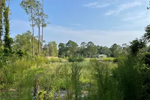 14004 Bradham Rd, Jacksonville, FL 32226 - Photo 14