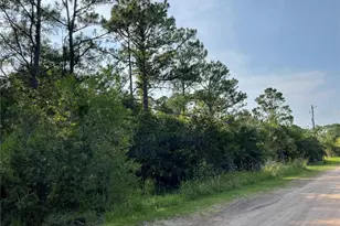 14004 Bradham Rd, Jacksonville, FL 32226 - Photo 2