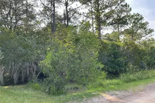 14004 Bradham Rd, Jacksonville, FL 32226 - Photo 16