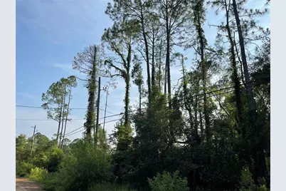 14004 Bradham Road, Jacksonville, FL 32226 - Photo 10